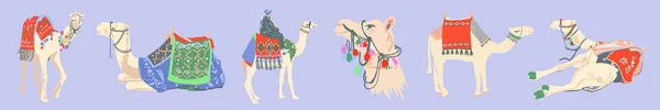 Набор египетских верблюдов украшен яркими коврами — стоковый вектор