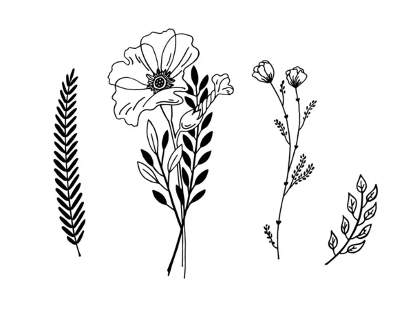 Desenho de esboço gráfico de flor minimalista, tatuagem minúscula na moda — Vetor de Stock