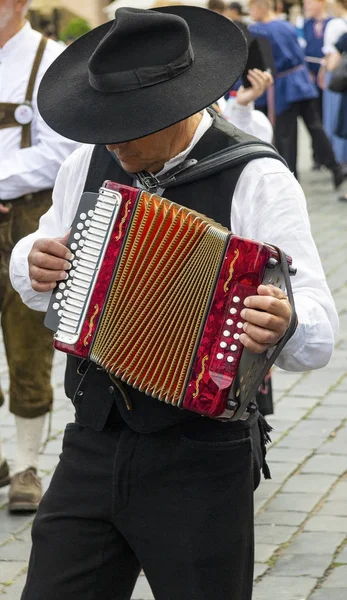 Muzikant Met Harmonie Straat Van Stad — Stockfoto