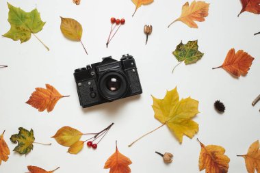 Vintage retro kamera ve sonbaharın çerçeve çiçek yaprakları girer. Lay, en iyi görünümü paylamak