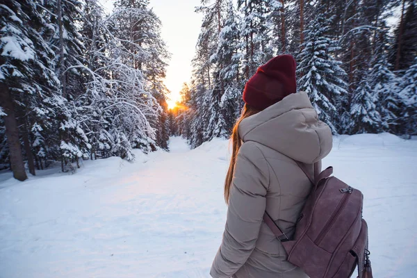 Молодая женщина с рюкзаком едет по зимней лесной дороге в заснеженном зимнем сосновом лесу. Снежная погода. Большие сосены. Зимние каникулы Стоковая Картинка