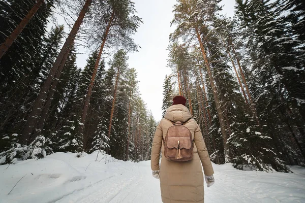 Genç kadın kar kış orman yolu üzerinde gidiş sırt çantası ile kış çam ormanı kaplı. Karlı havalarda. Büyük çam. Kış tatili — Stok fotoğraf
