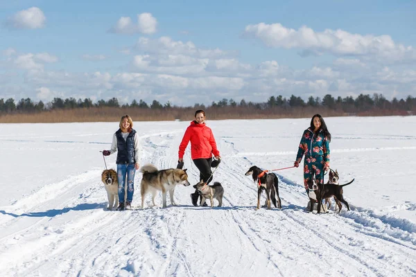 Köpeklerin kış doğa ile oynarken üç mutlu kızlar sahipleri. — Stok fotoğraf