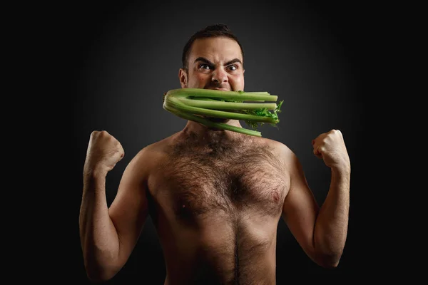 Kıllı sakallı beyaz adam ağzına tutarak bir demet kereviz koyu gri arka plan üzerinde izole.