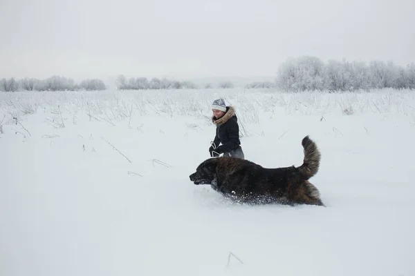 Young woman with caucasian shepherd dog running on snow-covered field in frosty winter day — Stock Photo, Image