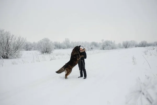 Kafkas çoban köpeği karla kaplı alanda da soğuk kış günü kucaklayan neşeli genç kadın — Stok fotoğraf