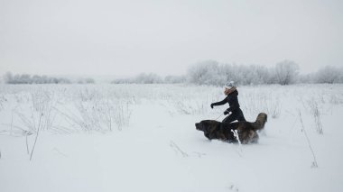 Kafkas çoban köpeği ile soğuk kış günü karla kaplı sahada oynayan neşeli genç kadın