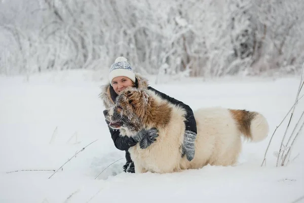 Веселая молодая женщина обнимается с кавказской овчаркой на заснеженном поле в морозный зимний день — стоковое фото