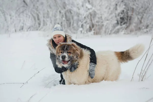 Glad ung kvinna omfamnar med kvinnliga kaukasiska herde hund på snötäckta fält i frostig vinterdag — Stockfoto