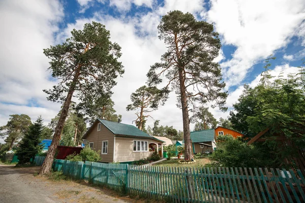 Уютные домики в сосновом лесу. Недвижимость в летней стране — стоковое фото