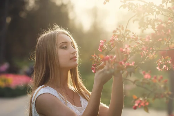 Чуттєва блондинка тримає квітучу гілку сакури в теплому сонячному світлі. Весняна концепція — стокове фото