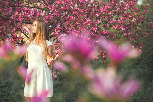 Sensual blonde girl holding blooming branch of sakura in warm sunlight. Spring concept.