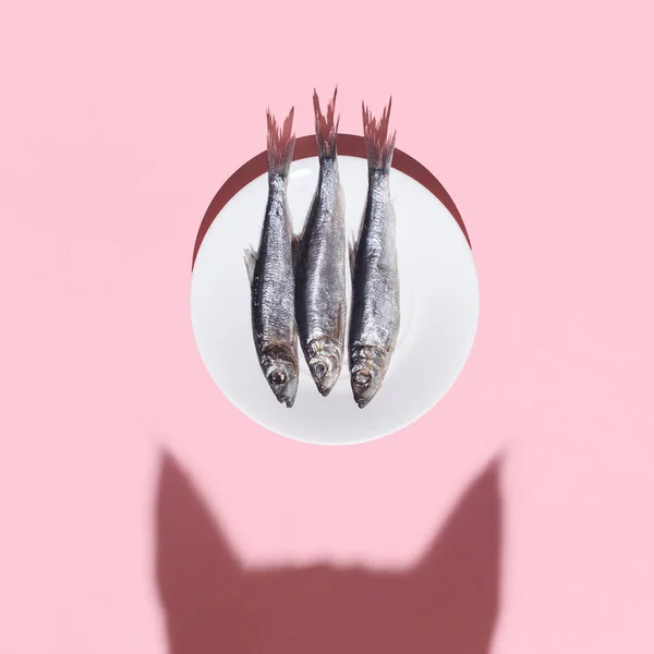 Cat vs fish. Curious cat shadow and plate with silver fish on pink background. Hard light. Top view. Flat lay. Curiousity and food concept