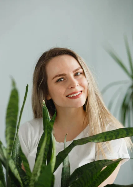 Hermosa mujer joven sosteniendo planta en maceta Sansevieria y sonriendo a la cámara aislada en gris —  Fotos de Stock