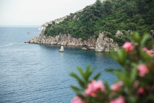 Ön planda çiçek pembe Oleander ile Mediterranian deniz manzarası. Marmaris, Muğla, Türkiye — Stok fotoğraf