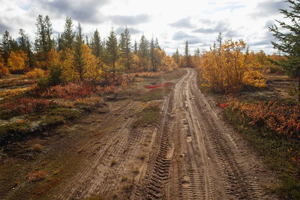 Scattered road in the forest-tundra. Autumn in the tundra. Autumn forest. The leaves of the grass and the trees turned yellow and turned red. Autumn scenery — Stock Image Scattered road in the forest-tundra. Autumn in the tundra. Autumn forest. The leaves of the grass and the trees turned yellow and turned red. Autumn scenery Stock Photo