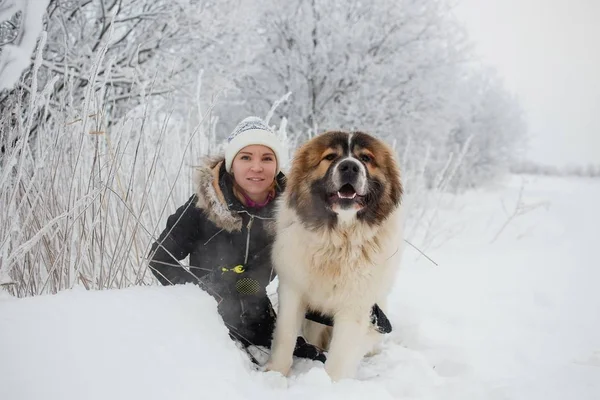 Glad ung kvinna ha kul med kaukasiska herdehund på snötäckta fält i frostig vinterdag — Stockfoto