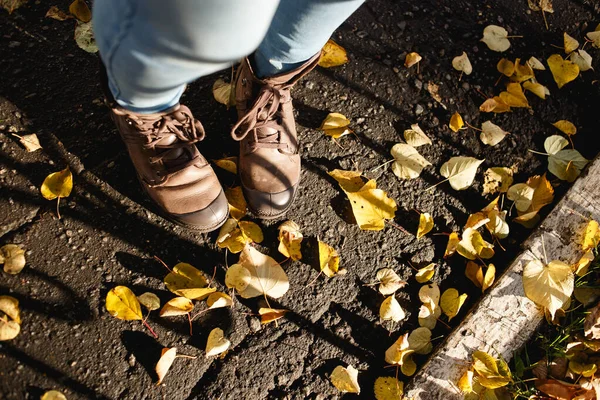 Buty na jesieni liści Outdoor z jesienią. Piękne kobiece stopy w brązowych skórzanych butach i sznurowadłach jesienią liście na sezon, obuwie, ludzie i koncepcja przyrody. Słoneczna pogoda. Odbiór z góry — Zdjęcie stockowe