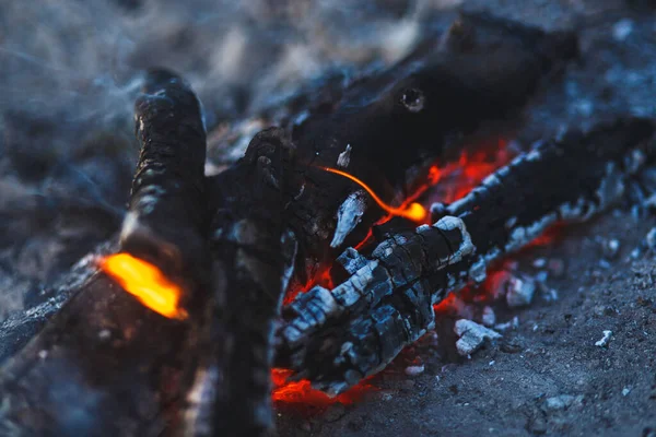 Evening beautiful bonfire of burning pine in the wild forest. Firewood burns orange flame. Cold night. Power of fire. Magic fire. Closeup