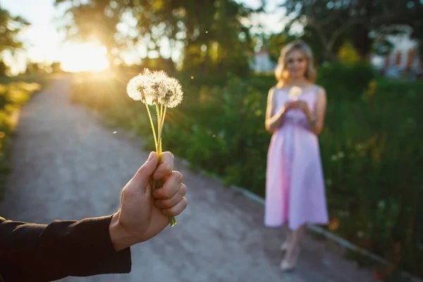 Чоловік дарує букет своїй дівчині букет кульбаб. Історія кохання на заході сонця в природі — стокове фото