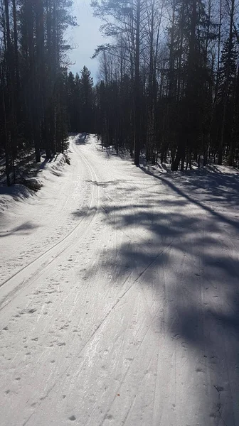 Cross country menyiapkan ski trails di winter wonderland — Stok Foto