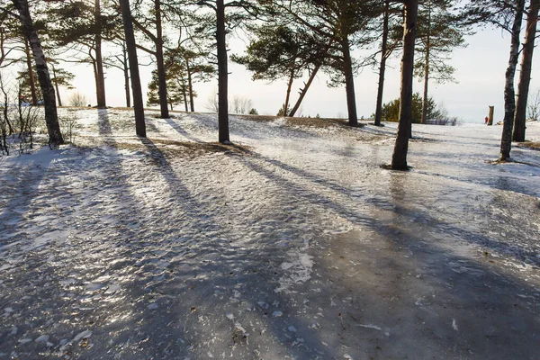 Indah lanskap musim dingin dengan matahari terbenam di hutan konifer dengan es glasir — Stok Foto