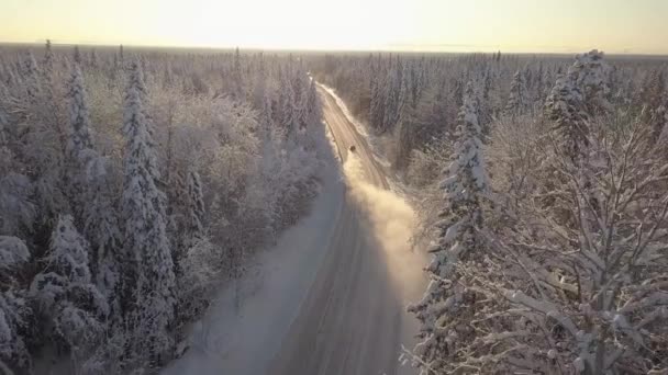 Závodní auto rychle jezdí na zasněžené silnici v lese. Winter Rally — Stock video