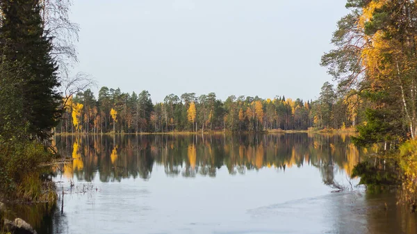 Gran vista del lago, bosque de pinos en su orilla y pinos cubiertos de islas. Silencio de buen día de otoño. Maravillosos reflejos de los árboles otoñales en el agua — Foto de Stock