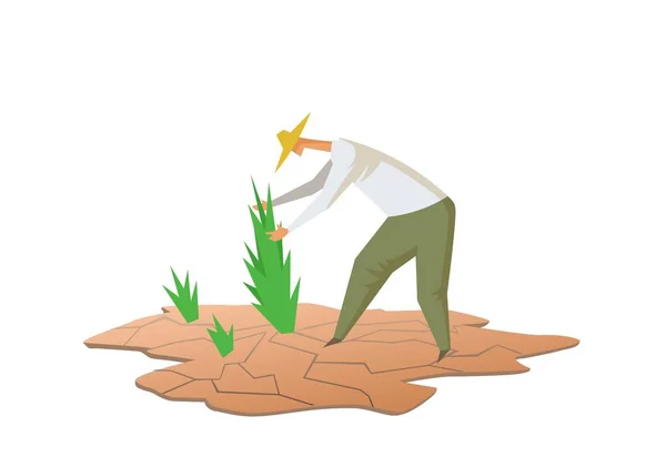 Sequía y agricultura. Agricultor cultivando plantas en suelo seco. Ilustración vectorial plana. Aislado sobre fondo blanco — Archivo Imágenes Vectoriales