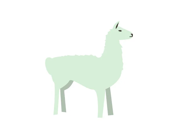 Alpaca engraçada, Lama. Ilustração vetorial plana. Isolado sobre fundo branco . — Vetor de Stock