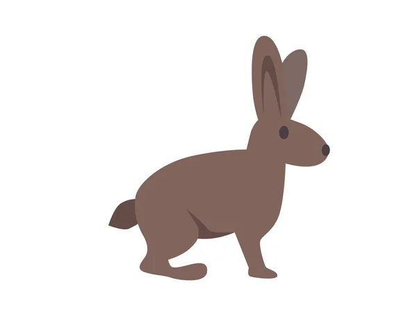 Hare, rabbit, bunny. Flat vector illustration. Isolated on white background. — Stock Vector