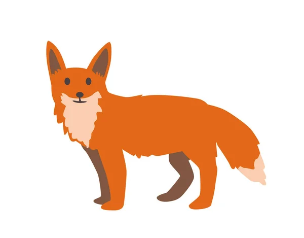 Niedlichen Red Fox Flat Vektor Illustration Isoliert Auf Weißem Hintergrund — Stockvektor