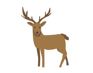 Geyik, raindeer. Düz vektör çizim. Beyaz arka plan üzerinde izole.