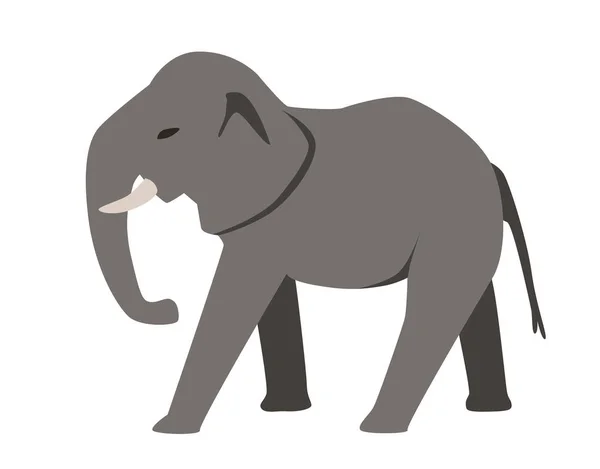 Grå elefant. Flat vektorillustration. Isolerad på vit bakgrund. — Stock vektor