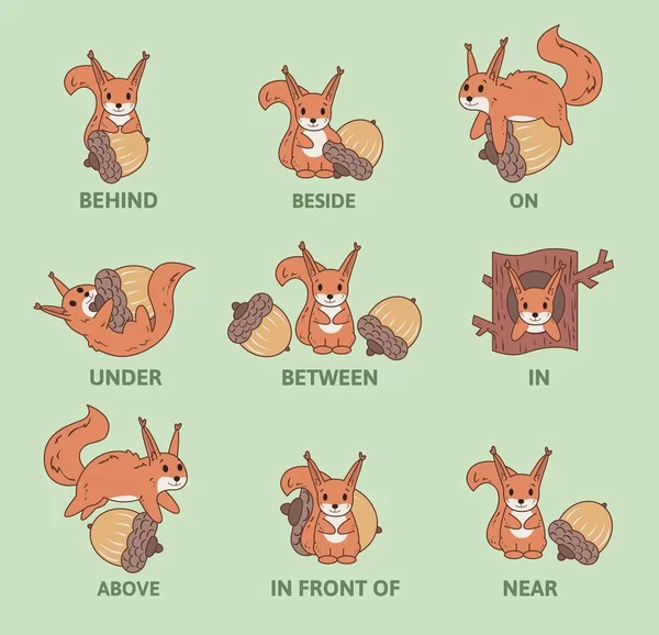 Tabell över prepositioner av plats med roliga djur tecken. Visuella läromedel för barn. Färgglada komiska ekorre leker med mutter. Infographics vektorillustration. — Stock vektor