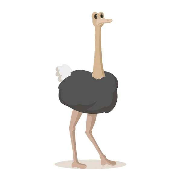 Cute ostrich standing. Flat vector illustration, isolated on white background. — Stock Vector