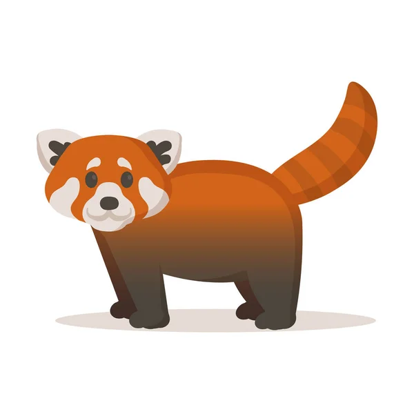 Söt röd panda. Platt vektor illustration, isolerad på vit bakgrund. — Stock vektor