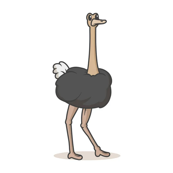 Cute ostrich standing. Flat vector illustration with outline, isolated on white background. — Stock Vector