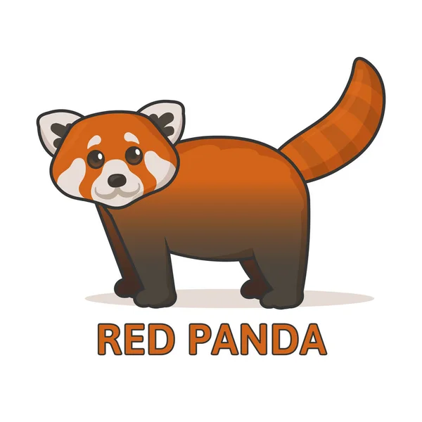 Cute red panda. Flat vector illustration with outline, isolated on white background. — Stock Vector