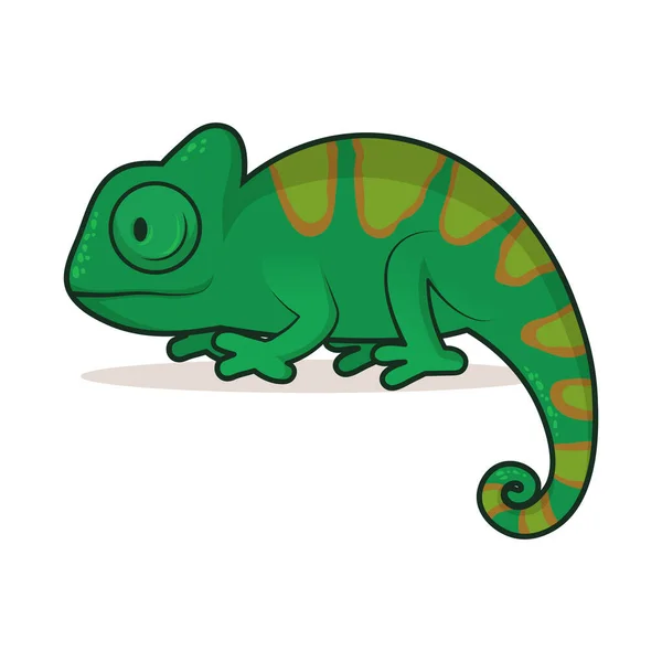 Kameleon na białym tle. Ilustracja wektora płaskiego z zarysem, odizolowany. — Wektor stockowy