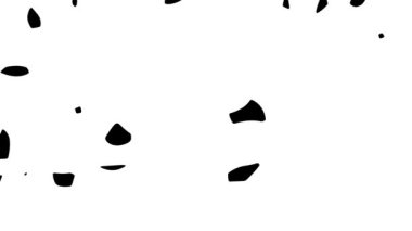 Dijital siyah beyaz desenlerin soyut arkaplan animasyonu. Kusursuz döngü canlandırmalı arkaplan, duvar kağıdı.