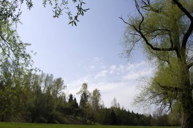 Güzel yeşil park bulutlar ile mavi gökyüzü ile