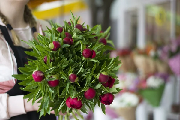 Kapalı bir vazoda üç koyu pembe peonies çiçekler. Bahar çiçekleri. Kırmızı peonies bir kızın elinde bir buket.