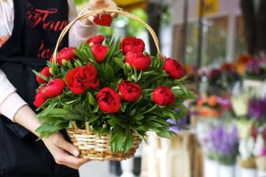 Kapalı bir vazoda üç koyu pembe peonies çiçekler. Bahar çiçekleri. Güzel peonies bir buket. Çiçek butik satıcı elinde peonies sepetle.