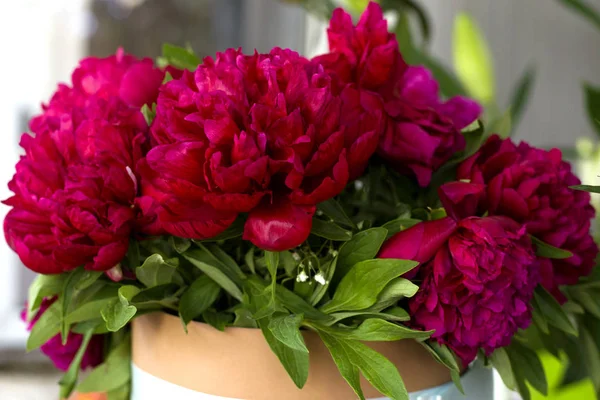 Three dark pink peonies flowers in a vase indoors. Spring flowers. Beautiful peonies in a bouquet.