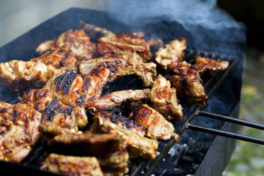 et; ızgara; Barbekü; ızgara; Gıda; kızarmış; ateş; yemek; lezzetli; rendeleyin; tavuk; alev; kavrulmuş; piknik; ısı; yemek; domuz eti; Hazırlık; duman; Barbekü; sıcak; kömür; Açık havada; akşam yemeği; kırmızı