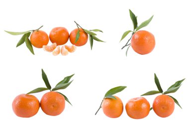 Portakal beyaz zemin üzerinde. Beyaz bir arka plan üzerinde taze narenciye.