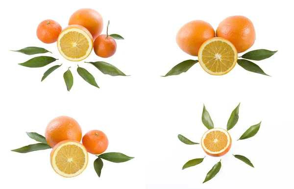 Oranges White Background Fresh Citrus Fruits White Background — Stock Photo, Image