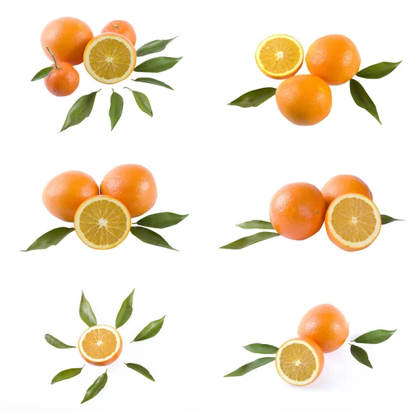 Pomeranče Bílém Pozadí Čerstvé Citrusové Plody Bílém Pozadí — Stock fotografie