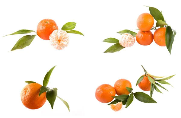 Frische Mandarinen Isoliert Auf Weißem Hintergrund Orangen Sind Reihen Angeordnet — Stockfoto